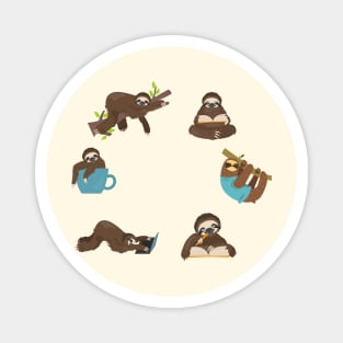 a Sloth Life Cycle Magnet